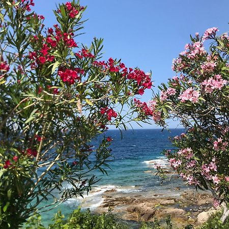 Ferienwohnung Nidu Accogliente In Balagna LʼÎle-Rousse Exterior foto