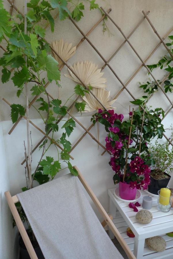 Ferienwohnung Nidu Accogliente In Balagna LʼÎle-Rousse Exterior foto