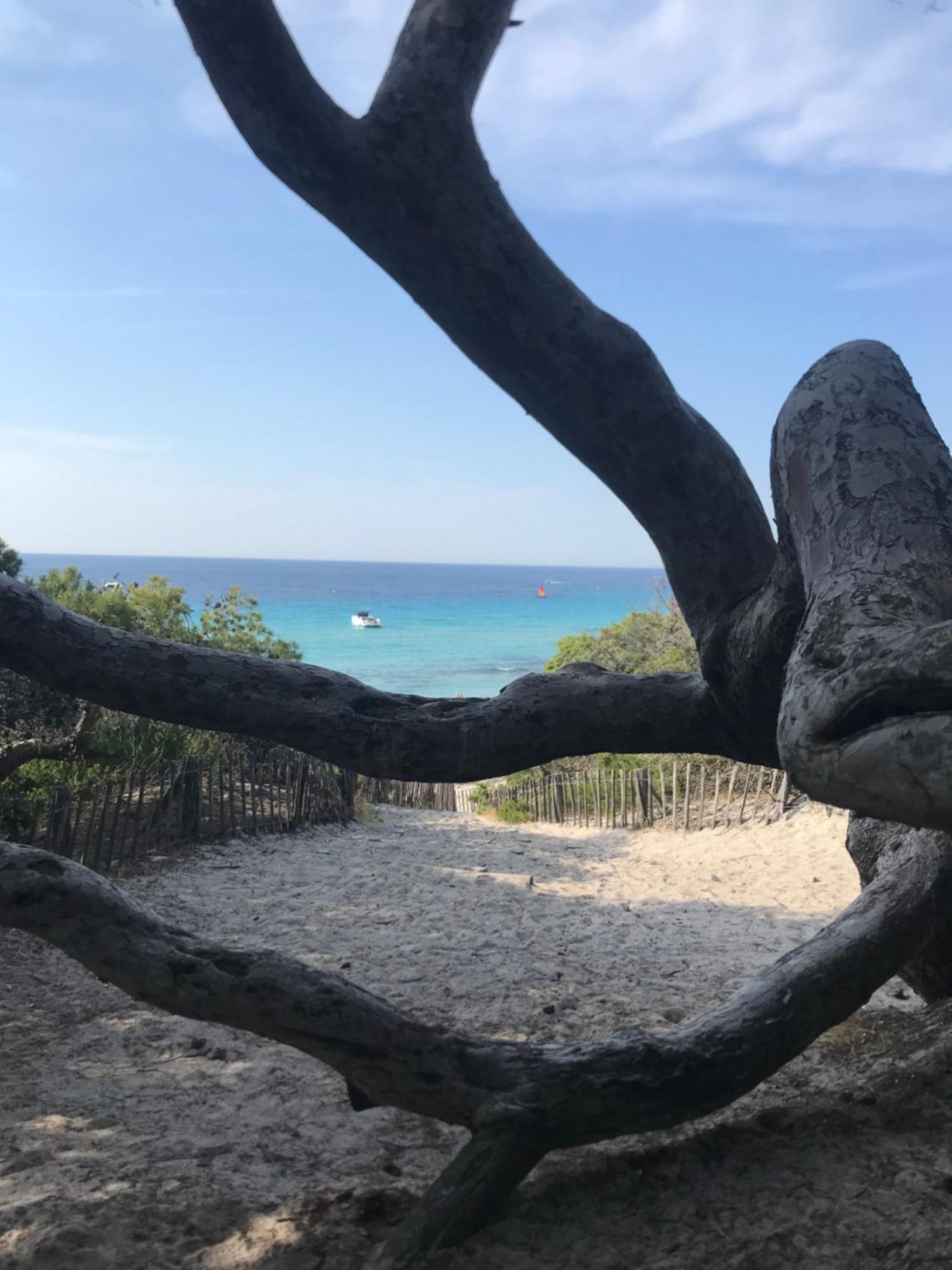 Ferienwohnung Nidu Accogliente In Balagna LʼÎle-Rousse Exterior foto