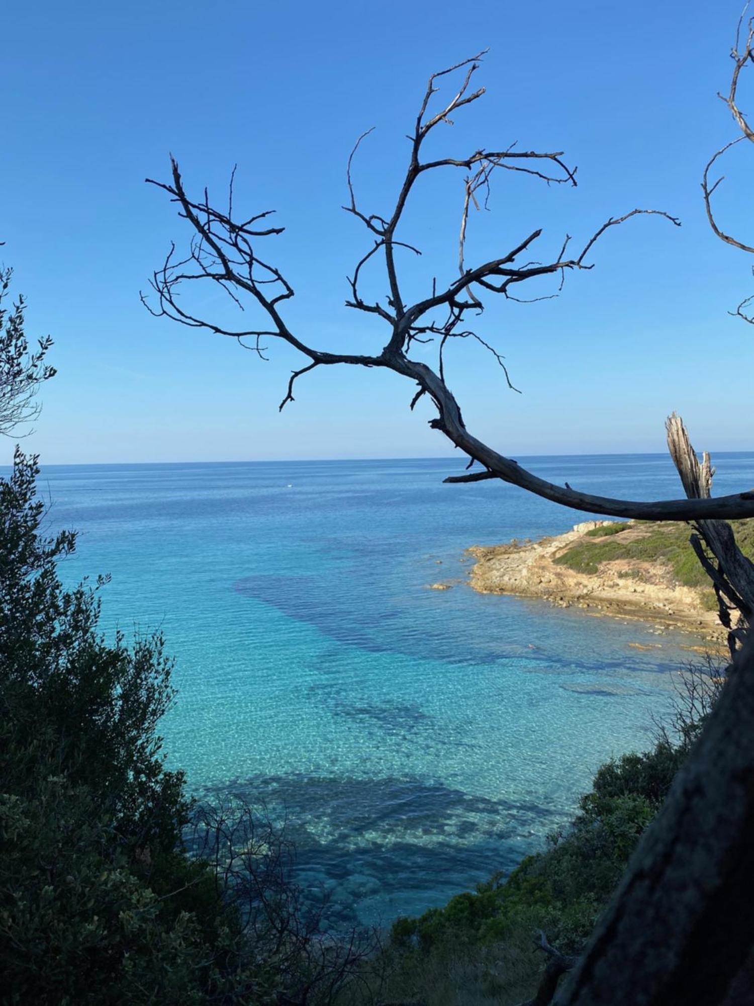Ferienwohnung Nidu Accogliente In Balagna LʼÎle-Rousse Exterior foto